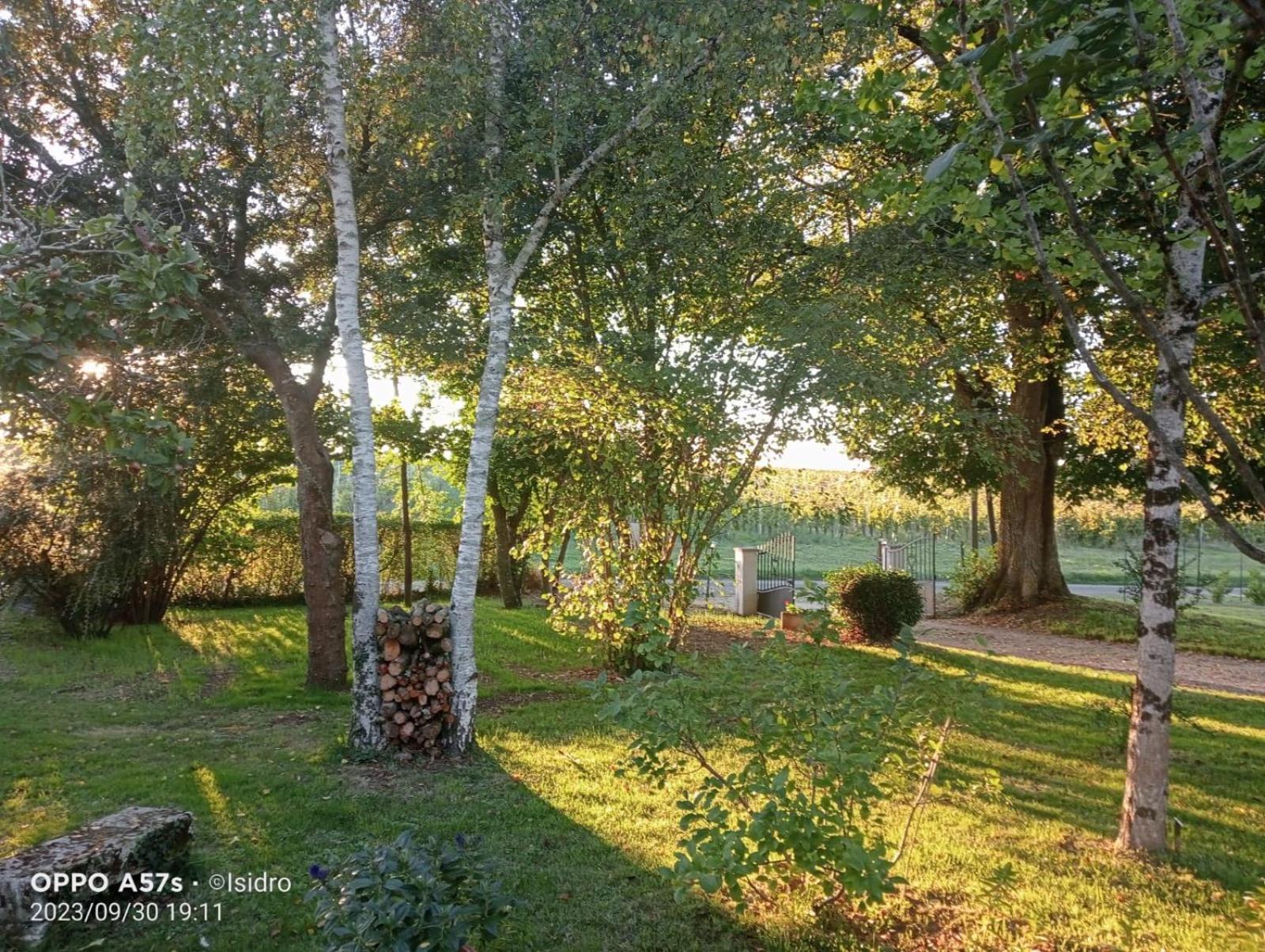 Villa La Demeure D'Ezilda Fléac-sur-Seugne Exterior foto